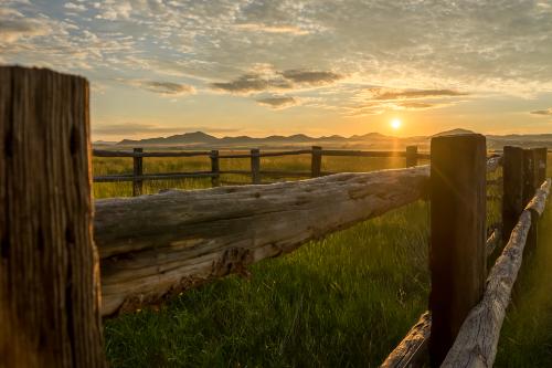 Fence on the ranch