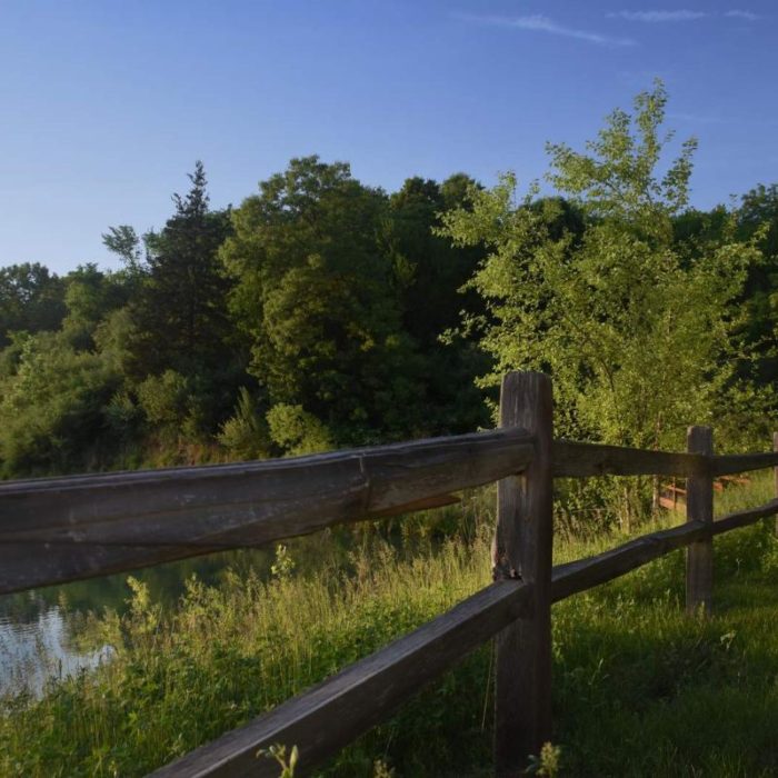 Ranch Wood Fence | Detox Program